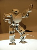 [robodex robot]
