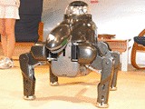 [robodex robot]