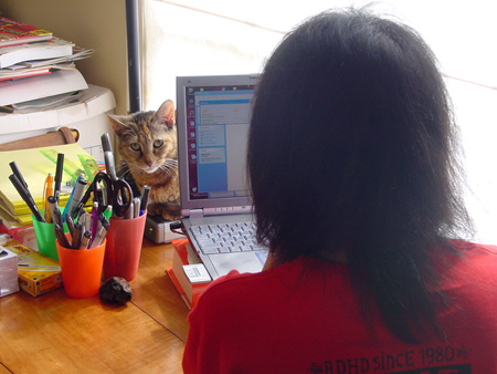 workspace