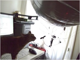 once petunia sensed that her claws could put an end to the blubber bot at any time she desired i think she lost her fear