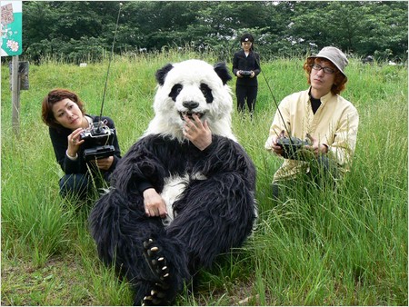 cyborg panda cyborg panda