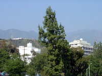 [jpl in the hills]