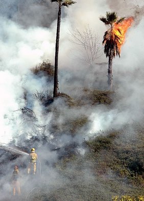 LAFD fighting a fire in Cahuenga Pass