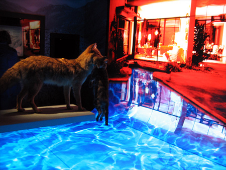 this diorama inspired a new game i play with petunia, called 'Coyote's Comin!' this diorama inspired a new game i play with petunia, called 'Coyote's Comin!'