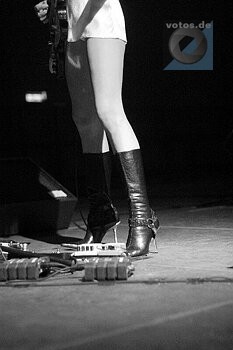 pj harvey's legs