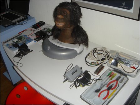roomba/chimp hybrid