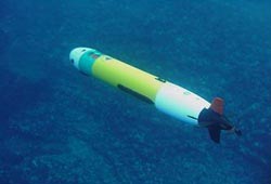 [REMUS AUV]