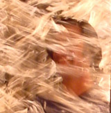 [seemen's fire shower]