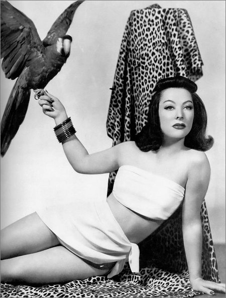 nice parrot nice parrot